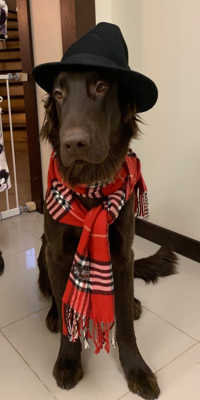 Ирина и Дарси