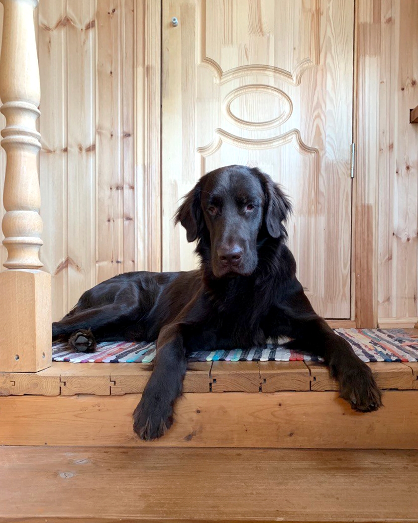 Елена и Бруно