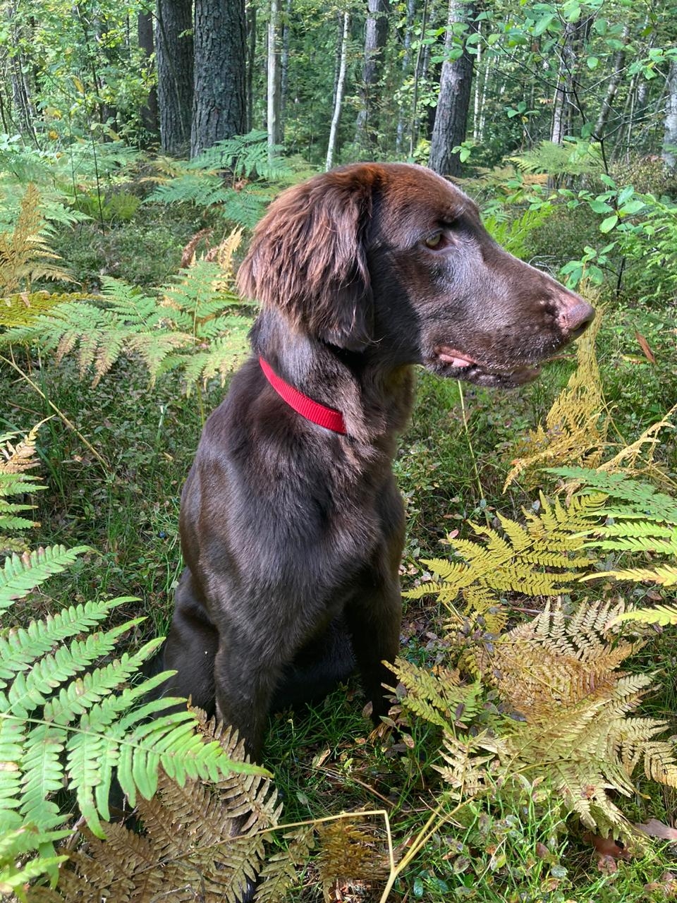 Анжелика Юрьевна